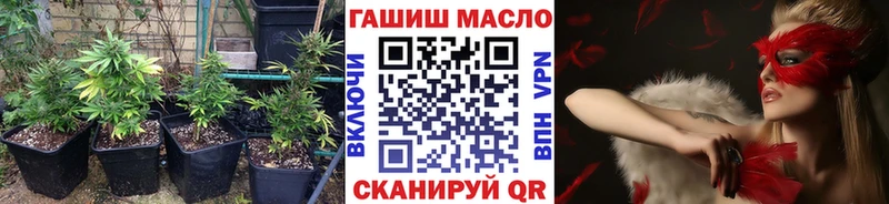 shop наркотические препараты  Красный Холм  Дистиллят ТГК THC oil 